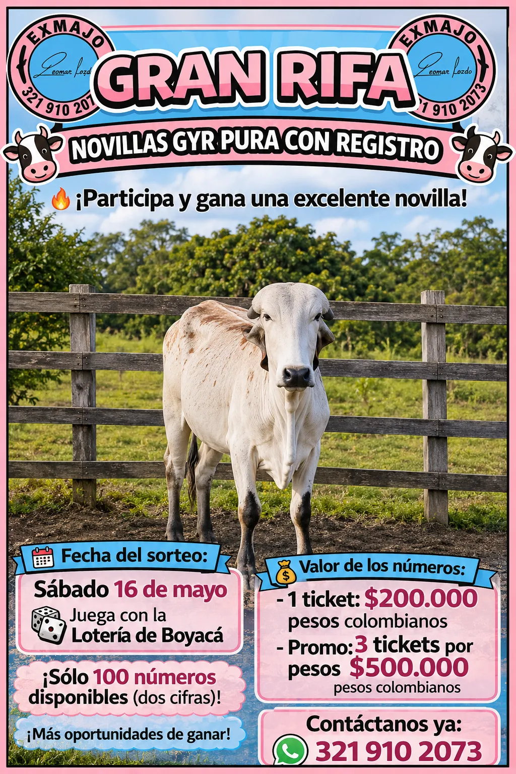 Sorteo